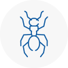 Ant Removals In Haxby