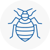 Bed Bug Extermination In Haxby