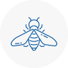 Bee Nest Removal Haxby