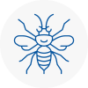 Haxby Hornet Nest Removals