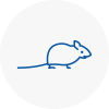 Mice Exterminators In Haxby