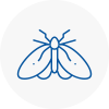 Moth Control Specialists In Haxby