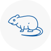 Rat Control Haxby