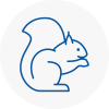 Haxby Rodent Removals