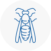 Haxby Wasp Nest Removal